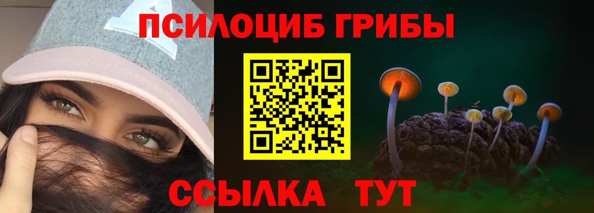 Псилоцибиновые грибы MAGIC MUSHROOMS Саяногорск